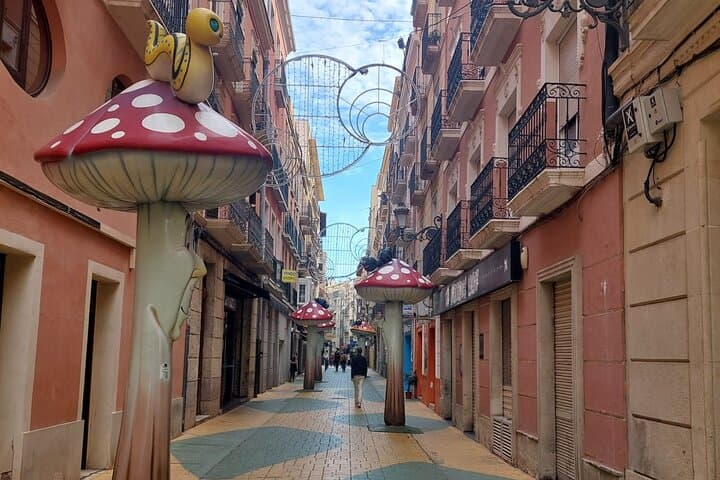 Private Walking Tour to Alicante