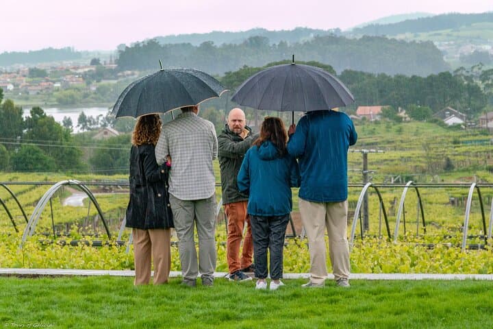 Albariño Wine Exclusive Private Tour, views & Michelin Star lunch
