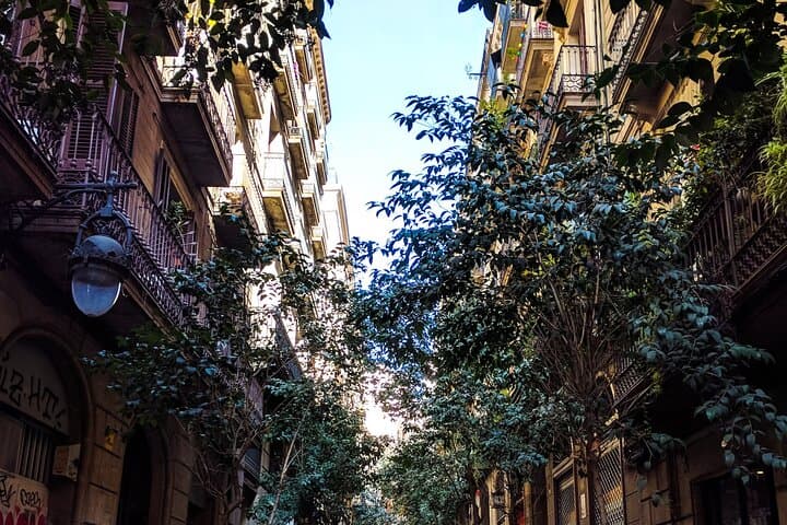 Barcelona Private Guided Walking Tour