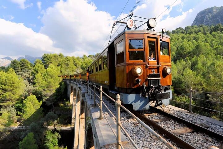 Tour by Train and Tram to Soller and Port of Soller