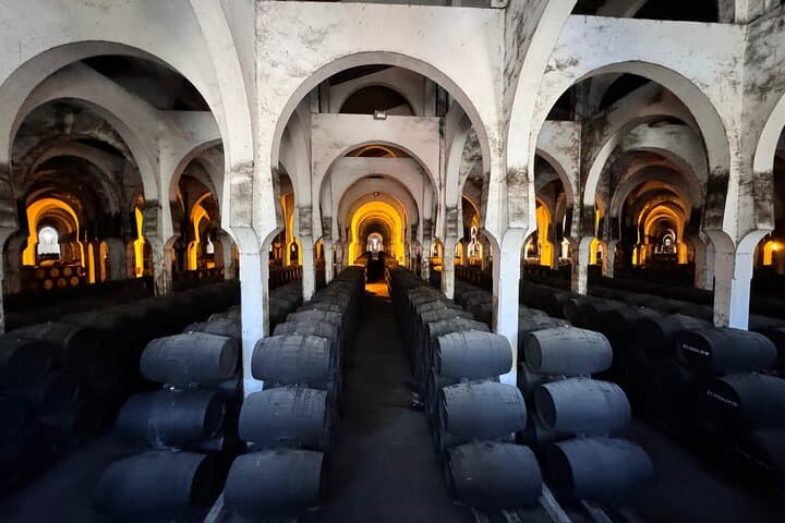 Cadiz and Jerez Private Daytrip from Marbella