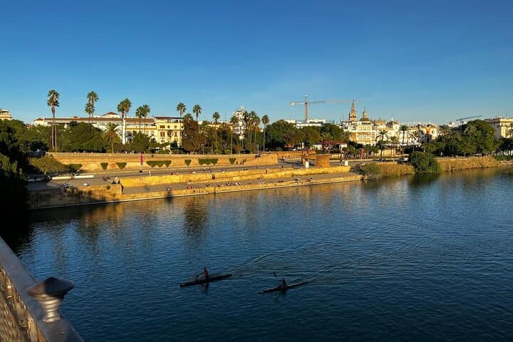 Sevilla Private Full day Tour From Malaga