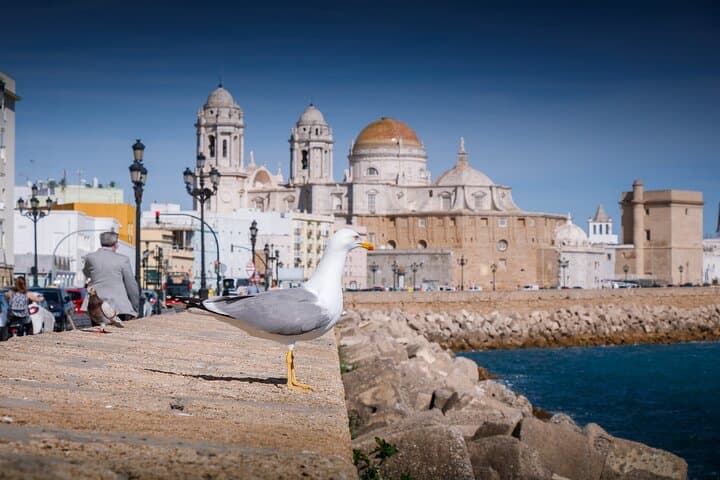 Tour to Cadiz from Seville