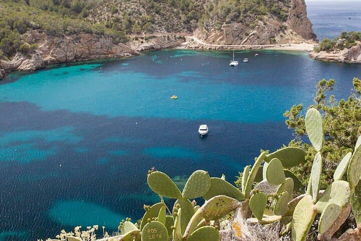 Can Marca, Las Dalias Hippie Market and Benirras Tour