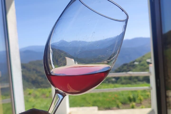 Route Bridges and Walls of Ronda + Winery visit and tasting 4 wines