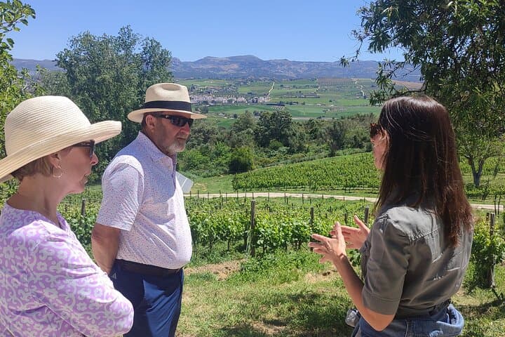 Route Bridges and Walls of Ronda + Winery visit and tasting 4 wines