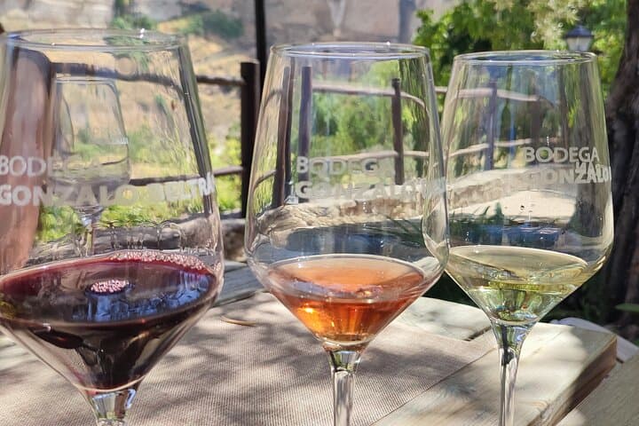 Route Bridges and Walls of Ronda + Winery visit and tasting 4 wines