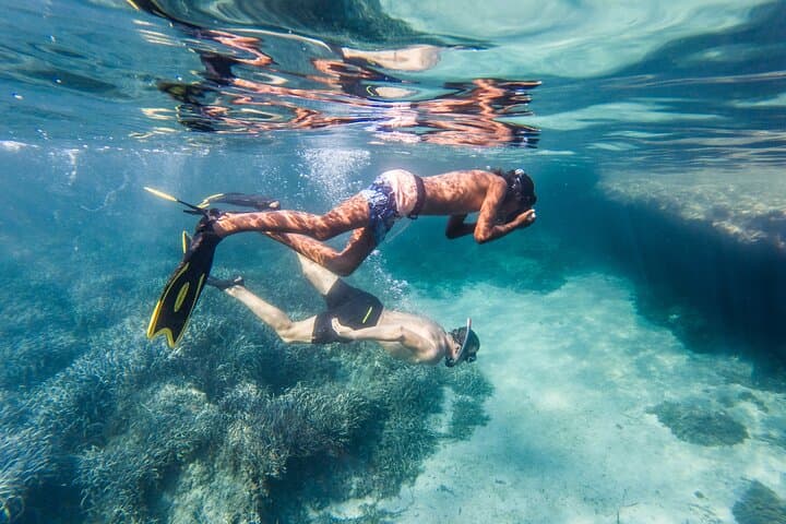 The Secret of the Posidonia-Kayak&Snorkel Tour Sant Elm