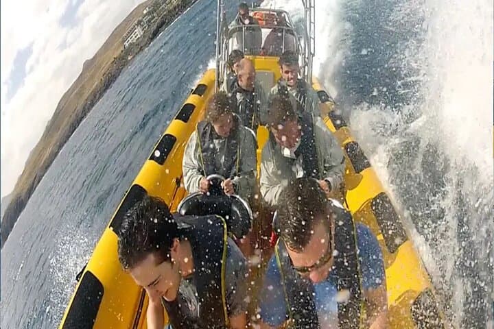 Dolphin Watching Boat Safari in Lanzarote