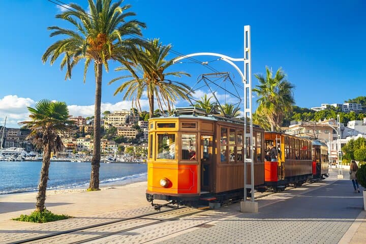 Best Palma de Mallorca and ValLdemossa Tour from Cruise Port