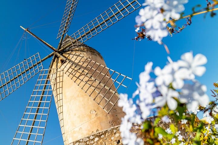 Palma de Mallorca and Valldemossa Excursion from Cruise Port