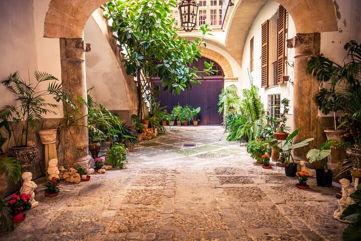 Best Palma de Mallorca and ValLdemossa Tour from Cruise Port