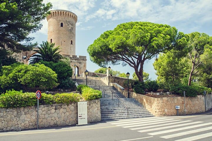Palma de Mallorca and Valldemossa Tour from Cruise Port