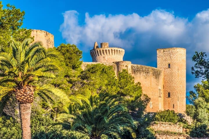 Palma de Mallorca and Valldemossa Excursion from Cruise Port