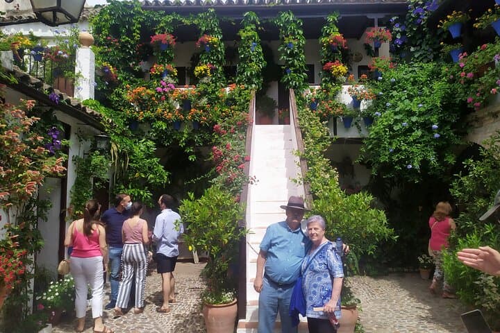 Guided Tour to Discover the Courtyards of Cordoba