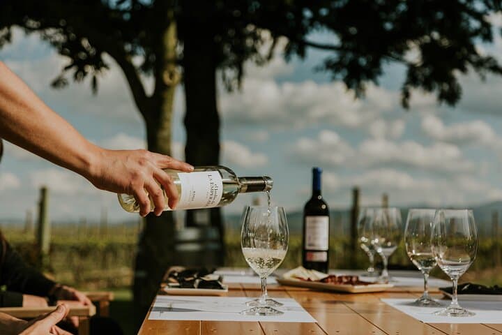 Tasting excellent wines