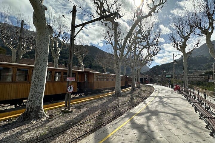 Valldemossa & Soller VIP Tour: Day or Sunset (Max 8 pers)