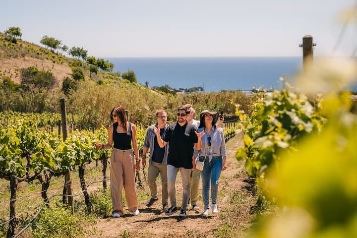 Barcelona Sailing Adventure and Small Group Winery Tasting Tour
