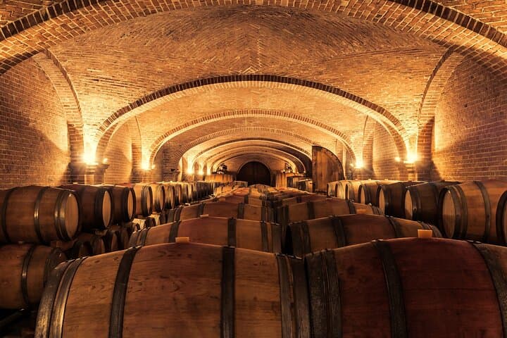 Luxury Tour Emilio Moro Winery From Madrid