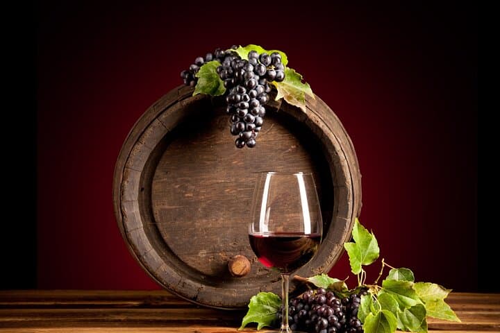Luxury Tour Emilio Moro Winery From Madrid