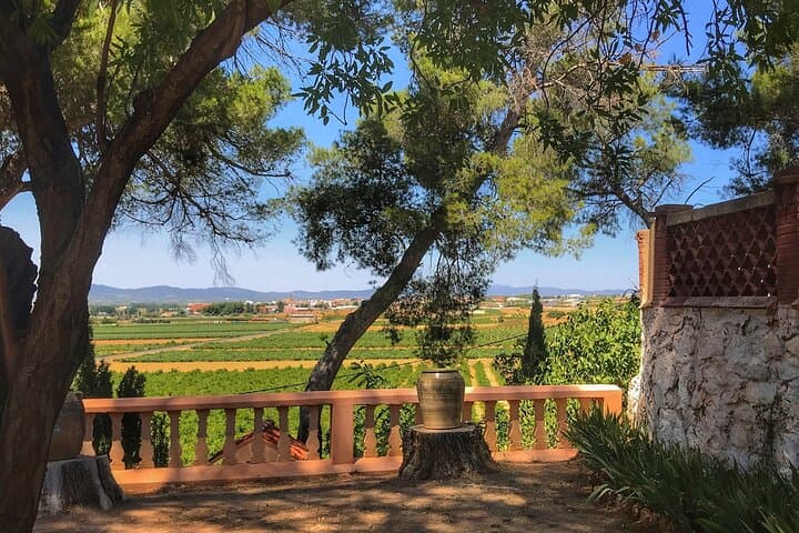 The lunch area... beautiful view!