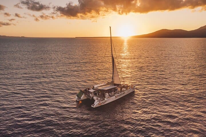 2hrs Dolphins Sunset Sailing Cruise With Drink