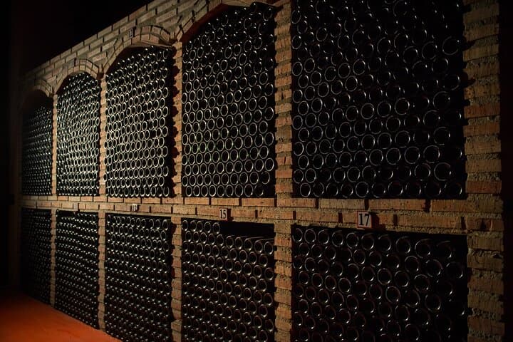 Private Rioja wine tour: winery & traditional lunch from Bilbao