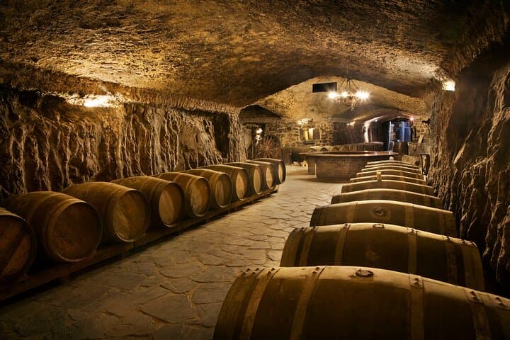 Private Rioja wine tour: winery & traditional lunch from Bilbao