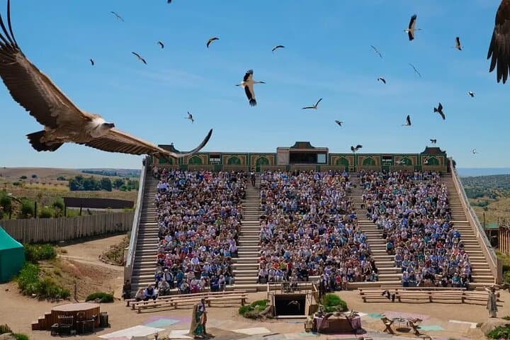Visit Puy du Fou España by bus From Madrid