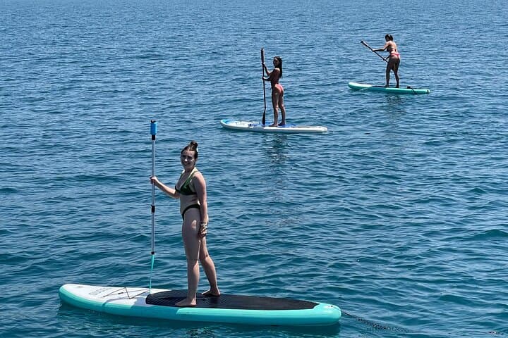 Tour: Dolphins & Sailing Small-Group Benalmádena Catamaran