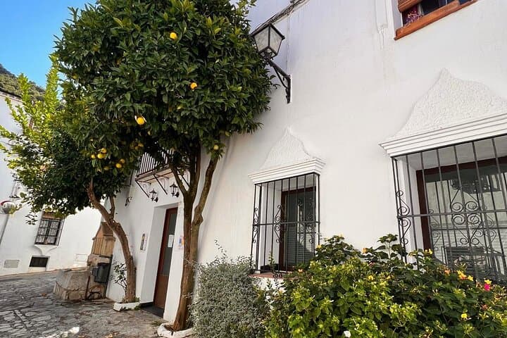 White Towns Private Daytrip From Cadiz