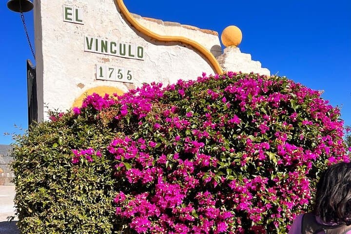 White Towns Private Daytrip From Cadiz