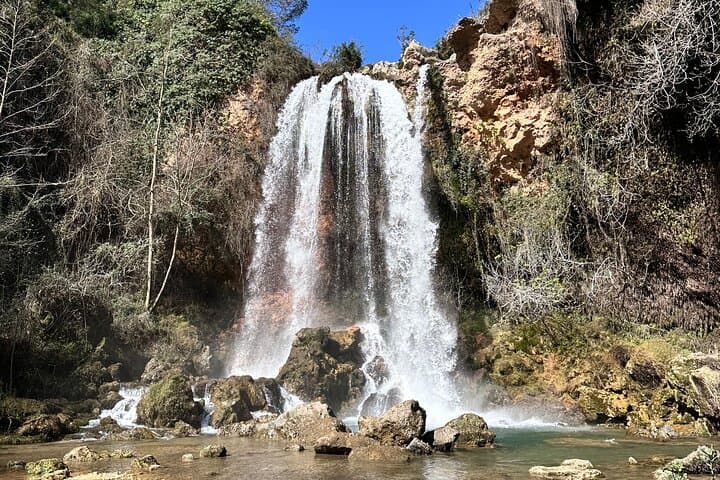Discover Valencia's Magical Nature