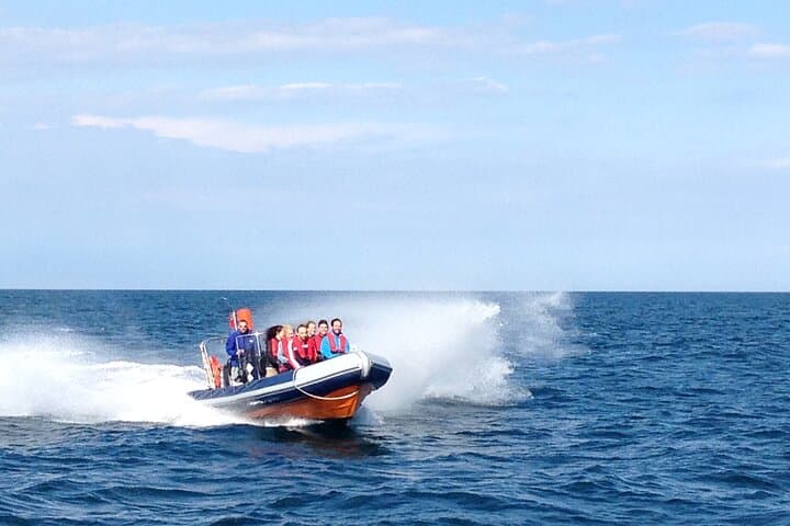 Barcelona Speedboat Coastline Tour