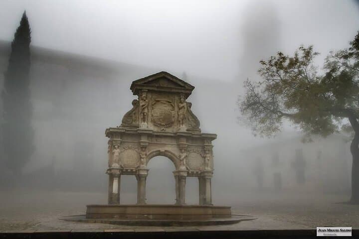 Tour of Baeza with Cathedral Entrance
