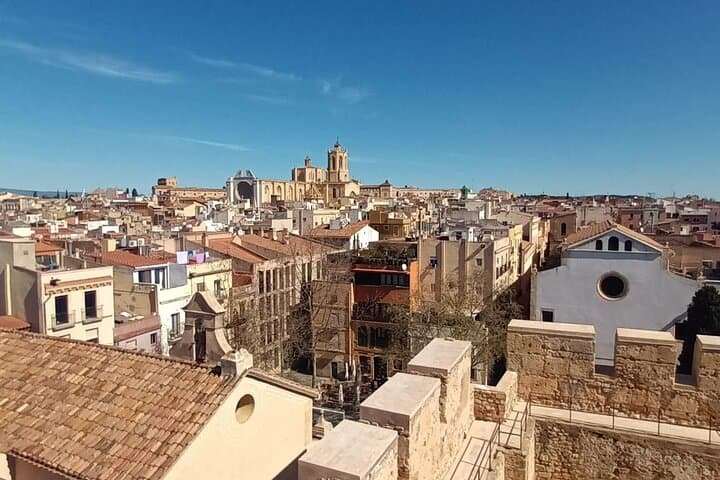 Tarragona Private Escape: Ancient Ruins, Olive Oil & Wine Tasting