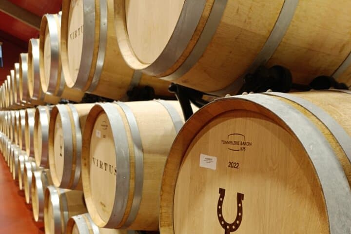 2 Day Ribera del Duero Private Wine Tour from Madrid