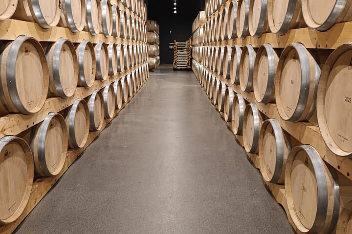 2 Day Ribera del Duero Private Wine Tour from Madrid