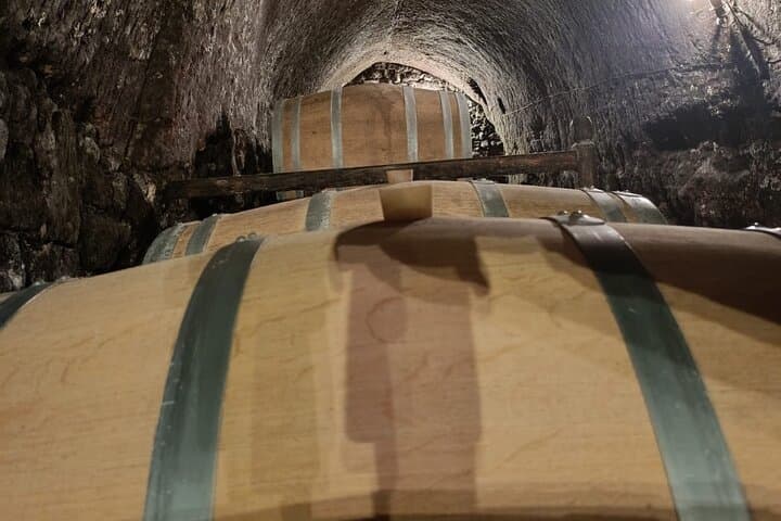 2 Day Ribera del Duero Private Wine Tour from Madrid