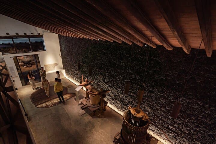Wine Lovers Winery Tour in Lanzarote