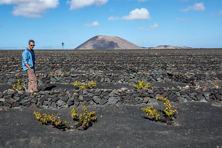 Wine Lovers Winery Tour in Lanzarote