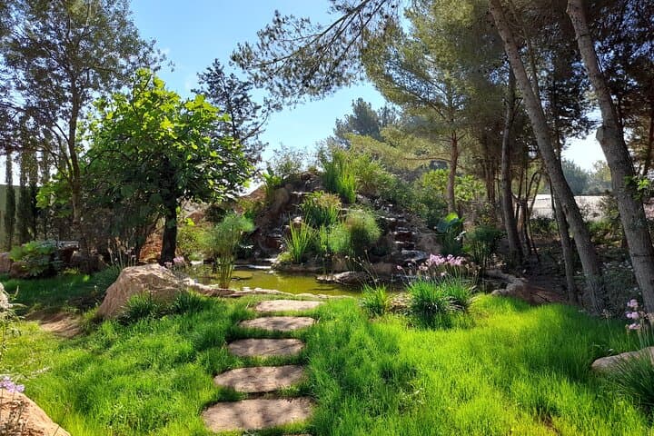 Ticket for BiBo Park Ibiza Biotech Botanical
