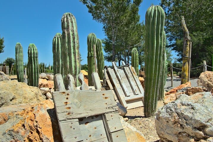 Ticket for BiBo Park Ibiza Biotech Botanical