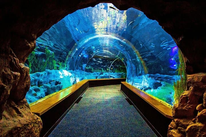 Aquarium Poema del Mar and Bus TUI Package