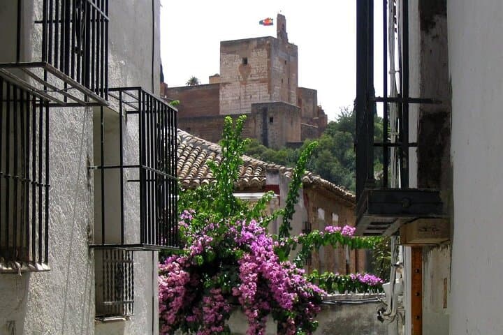 La Granada Nasrid: Nobility next to the Alhambra