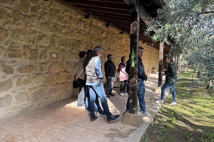 Oleotourism Hacienda la Laguna - Guided Tour + Oil Tasting Workshop