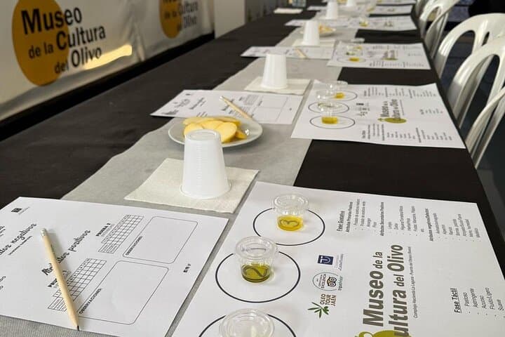 Oil Tasting Initiation Workshop at The Museum of Olive Culture