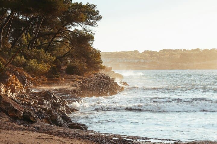 Ibiza Half Day Highlights tour including Santa Eulalia