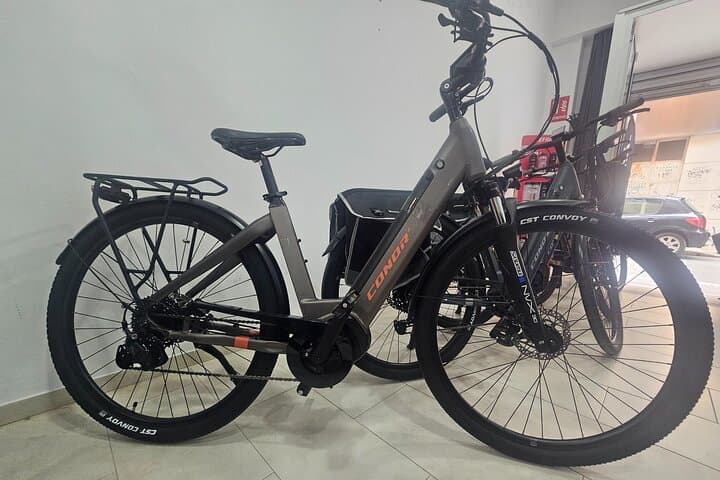 Bike Rentals in Malaga