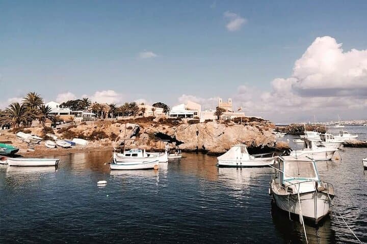 All-Inclusive Pink Lake & Tabarca Island Day Trip from Torrevieja